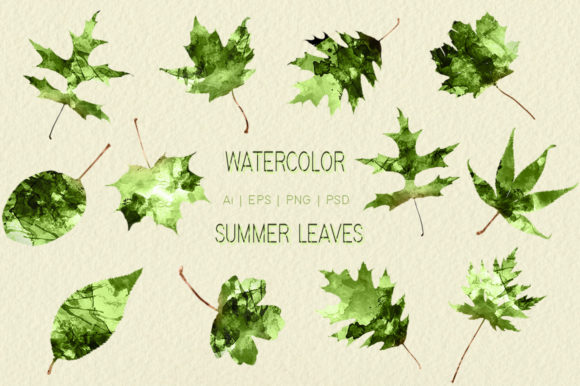 Watercolor Summer Leaves and Decorative Elements